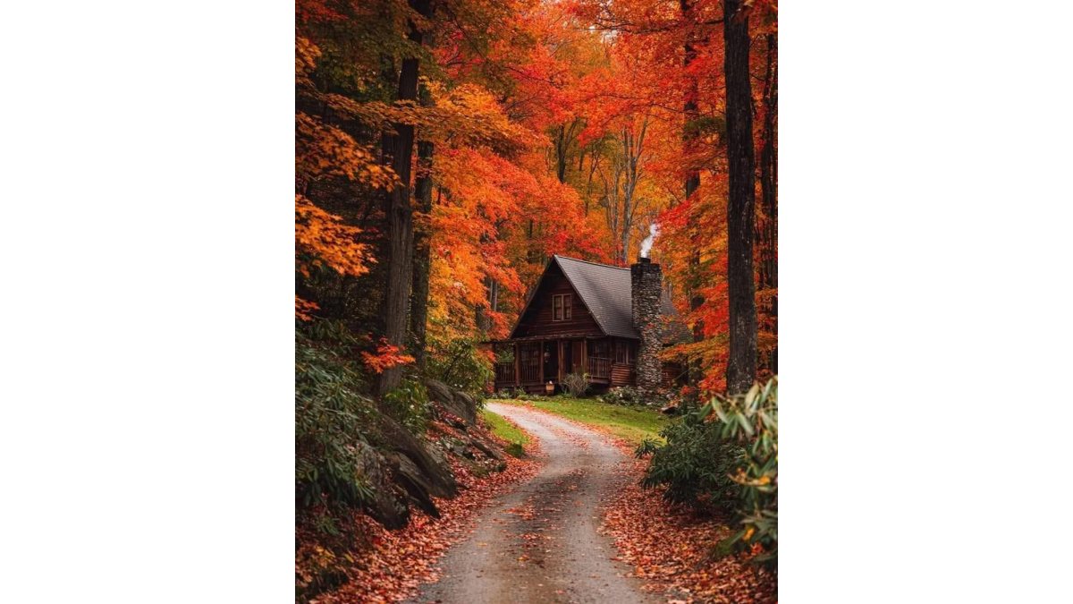 Soósné Balassa Eszter: Erdő szélén házikó című mese illusztrációja a Múzsák Könyvtárában