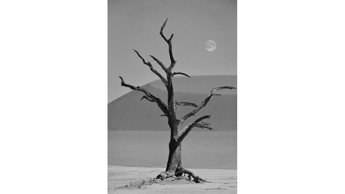 Híres B Ede: Kandencia című vers illusztrációja a Múzsák Könyvtárában