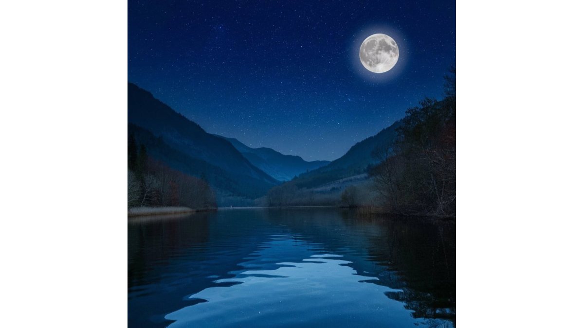 Napsugár: Holdfény című vers illusztrációja a Múzsák Könyvtárában