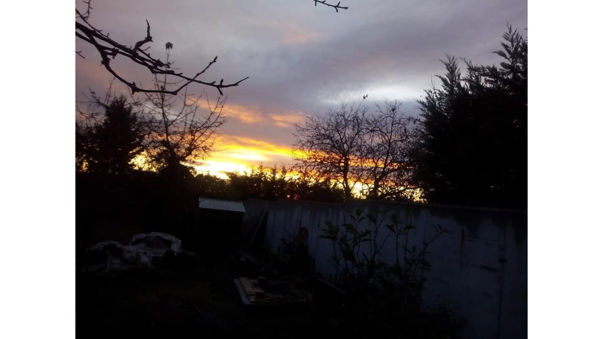 Petres Katalin: Négy soros sors című vers illusztrációja a Múzsák Könyvtárában