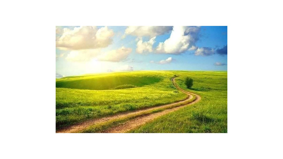 Bandics Zsuzsanna: Kitaposott ösvény című vers illusztrációja a Múzsák Könyvtárában