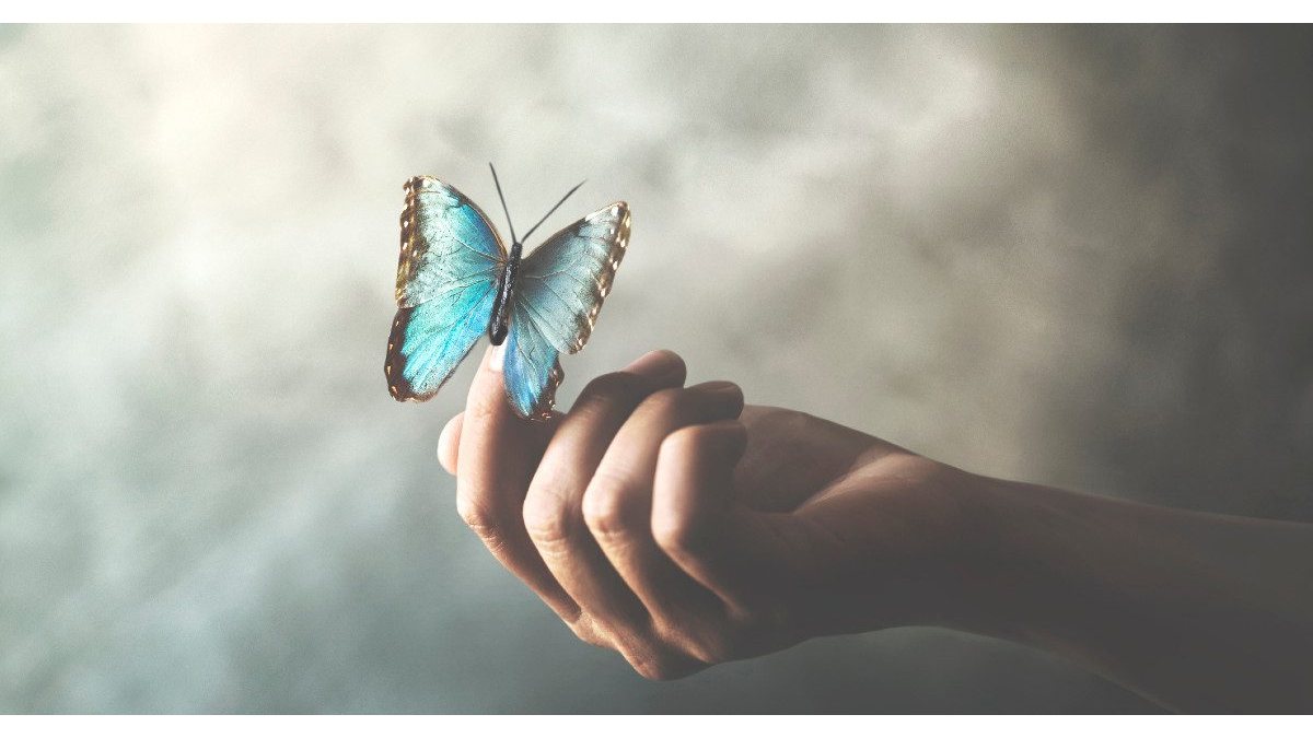 Magdus Melinda: Pillangó dala című vers illusztrációja a Múzsák Könyvtárában