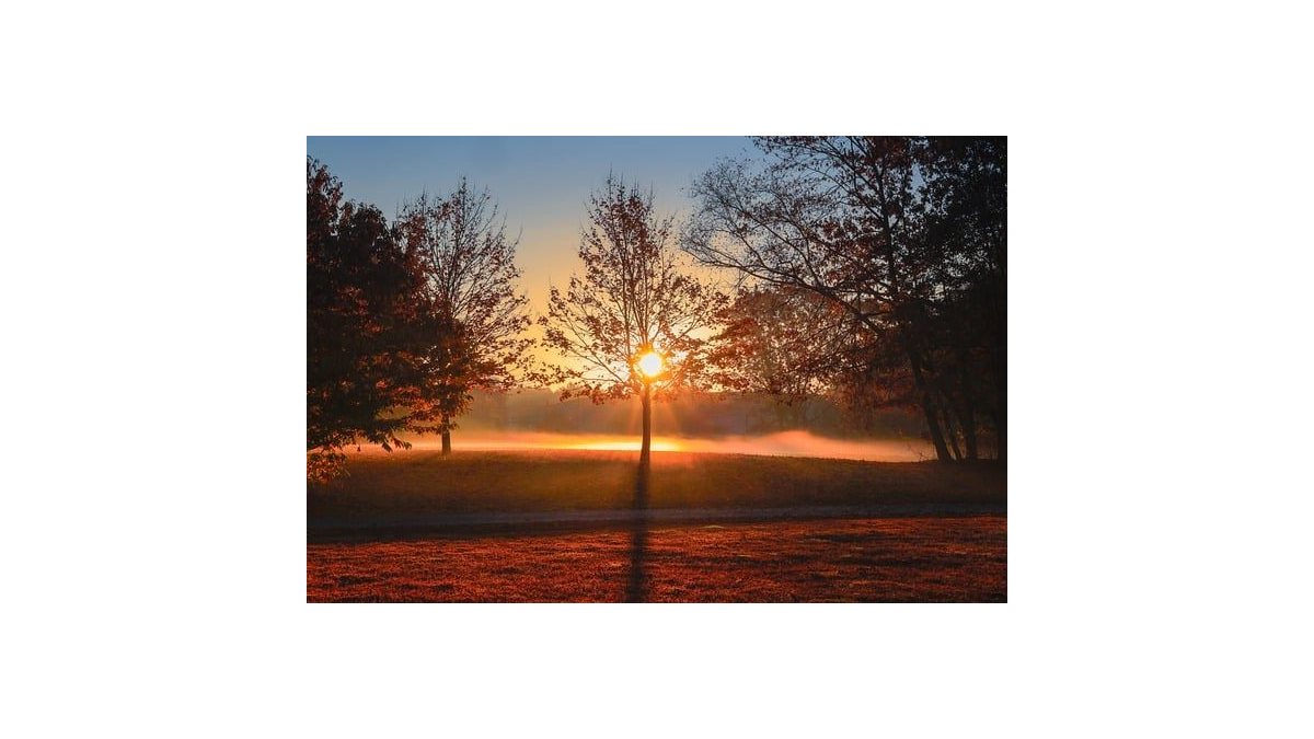 Baginé T. Szilvia: Pirkadat című vers illusztrációja a Múzsák Könyvtárában