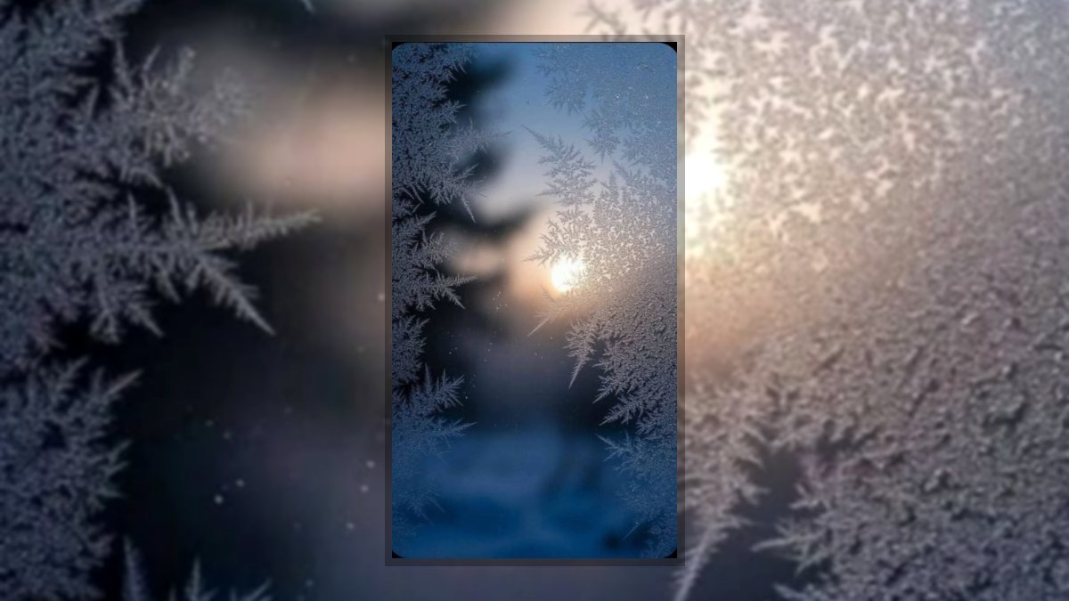 Ynela Zíléna: Fehér idő című vers illusztrációja a Múzsák Könyvtárában