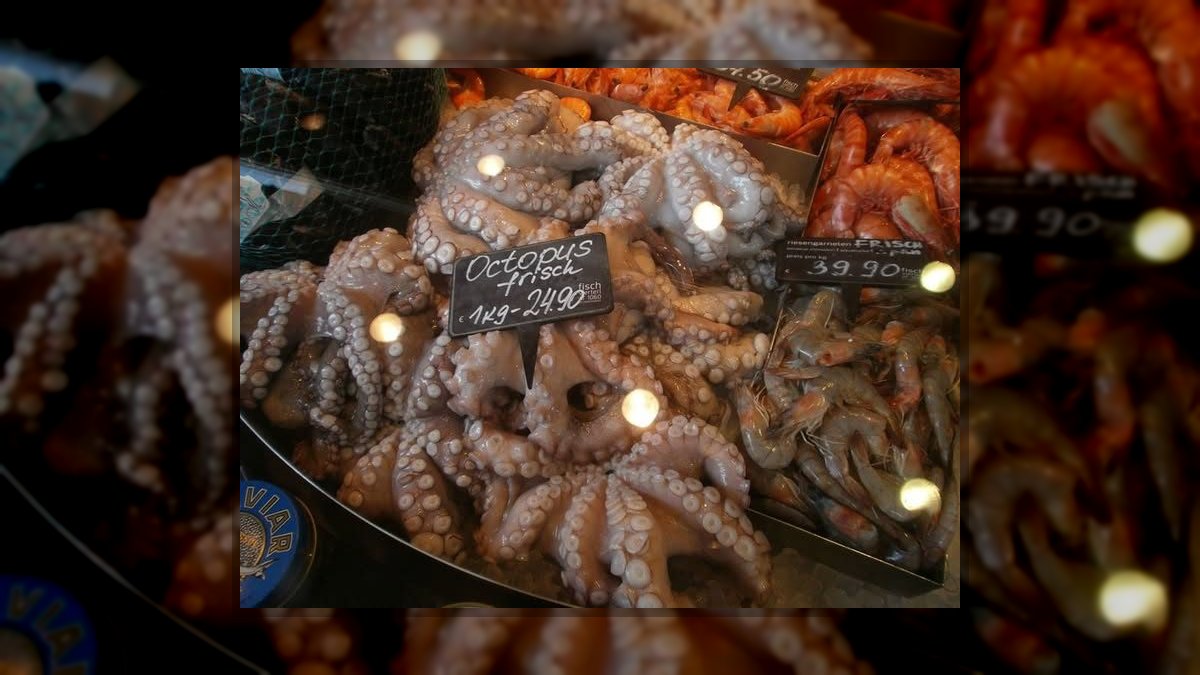 Garami Nelli: FRAU THEA ÉS A POLIP című novella illusztrációja a Múzsák Könyvtárában.