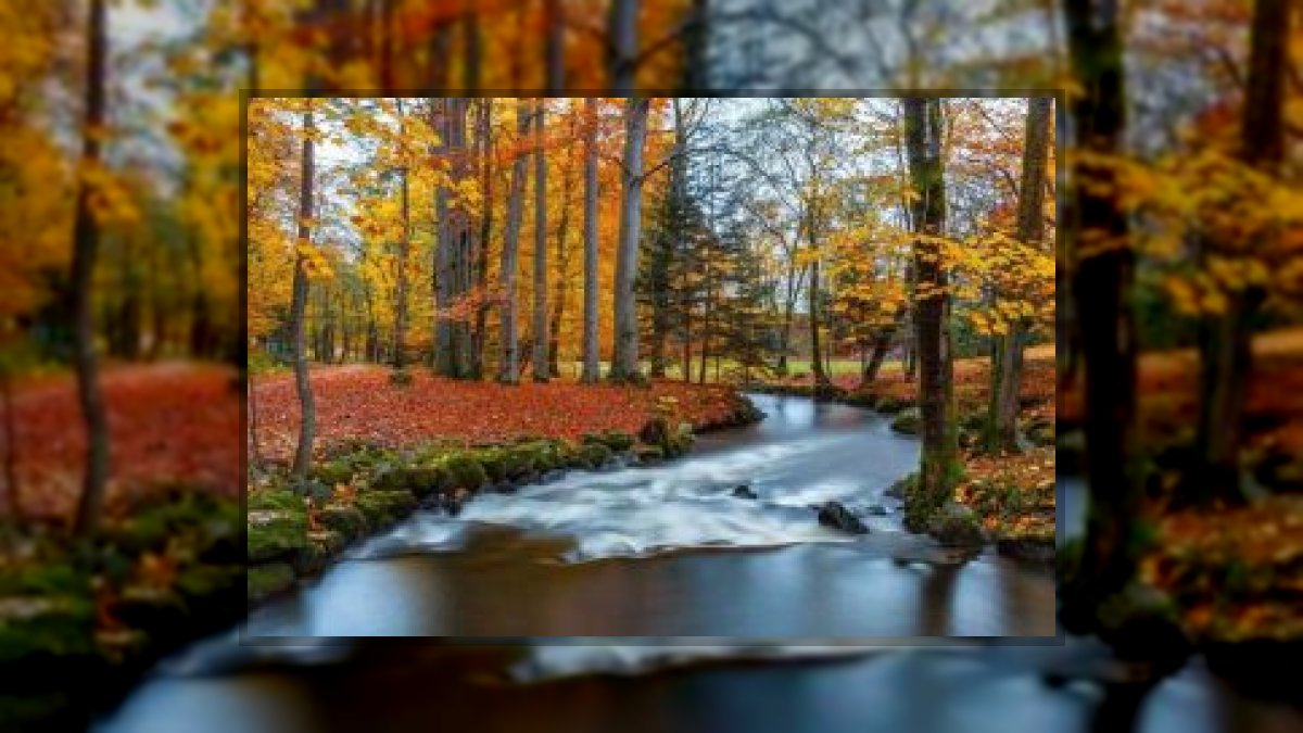 Krivák-Móricz Ilona: Aludni megy a természet című vers illusztrációja a Múzsák Könyvtárában