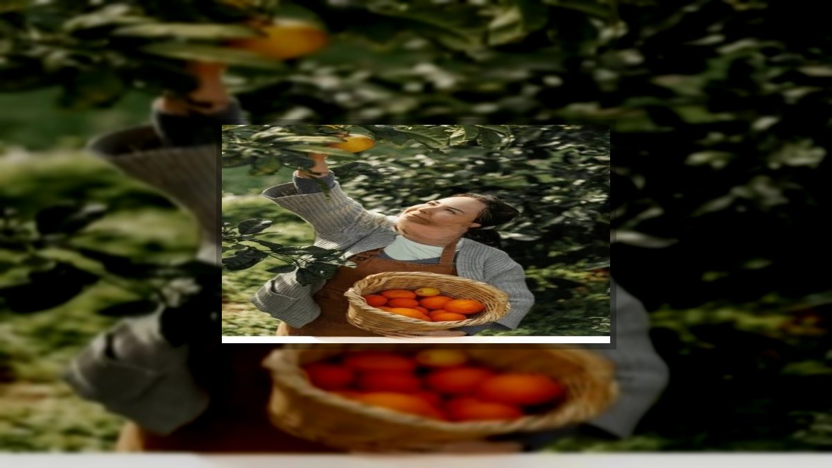 Tasi83: ÖRÖK NAPFÉNYES NARANCSFÁK című novella illusztrációja a Múzsák Könyvtárában.