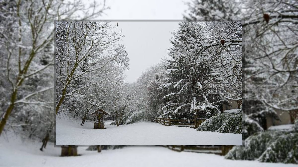 Márkus Katalin/Kata/: Téli csoda című vers illusztrációja a Múzsák Könyvtárában