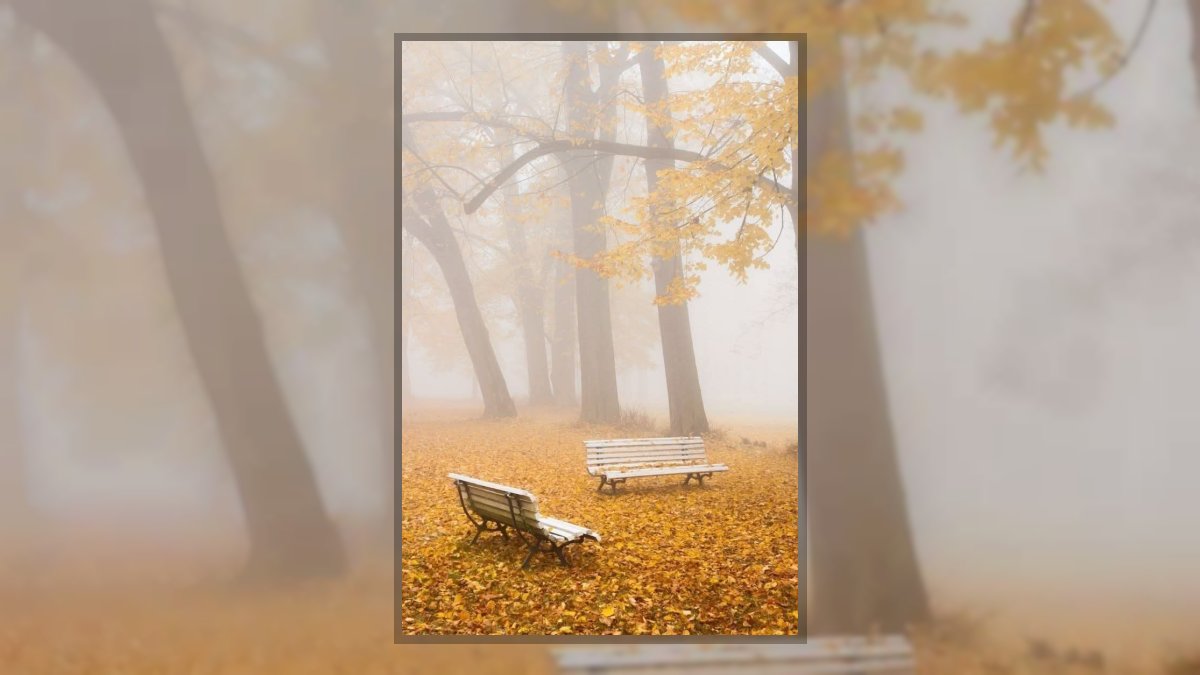 Soósné Balassa Eszter: Sejtelmes köd című novella illusztrációja a Múzsák Könyvtárában.