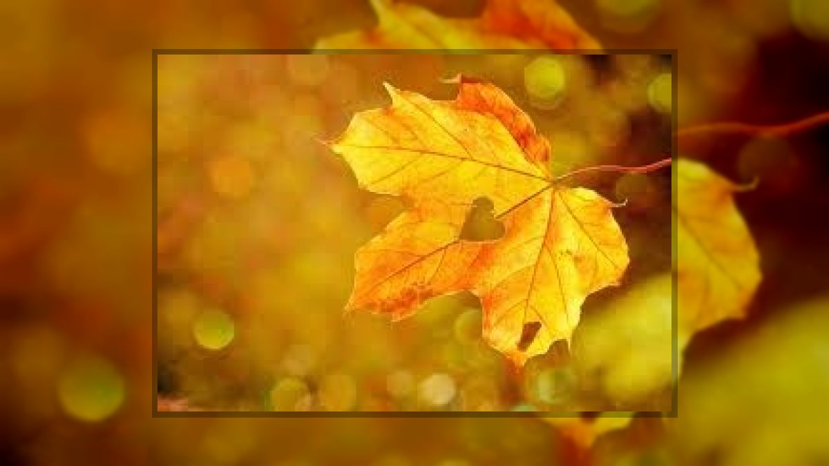 Vizkeleti Erzsébet: Végső sóhaj című vers illusztrációja a Múzsák Könyvtárában