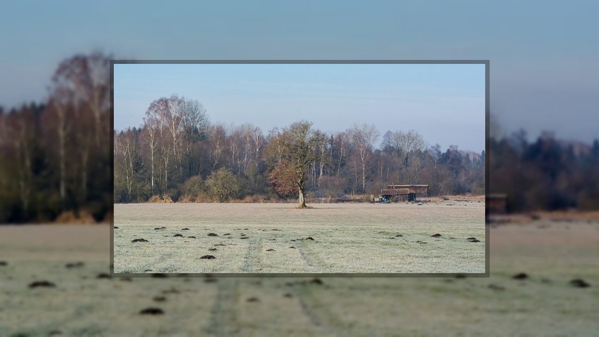 Gani Zsuzsa: Várakozás című vers illusztrációja a Múzsák Könyvtárában