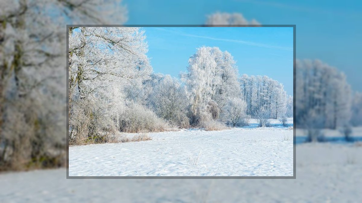 Vizkeleti Erzsébet: Tél kezdetén című vers illusztrációja a Múzsák Könyvtárában