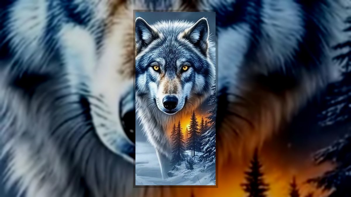 Szegedi Antal: Farkas törvény című vers illusztrációja a Múzsák Könyvtárában