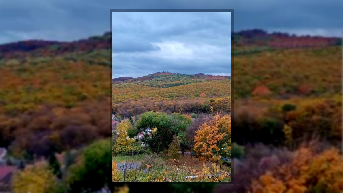Fekete Ida Virág: Különös kirándulás című vers illusztrációja a Múzsák Könyvtárában