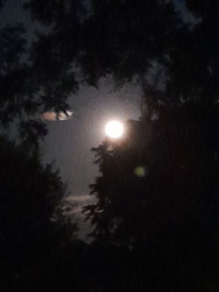 Híres B Ede: Emlékhálóm fogságában című vers illusztrációja a Múzsák Könyvtárában