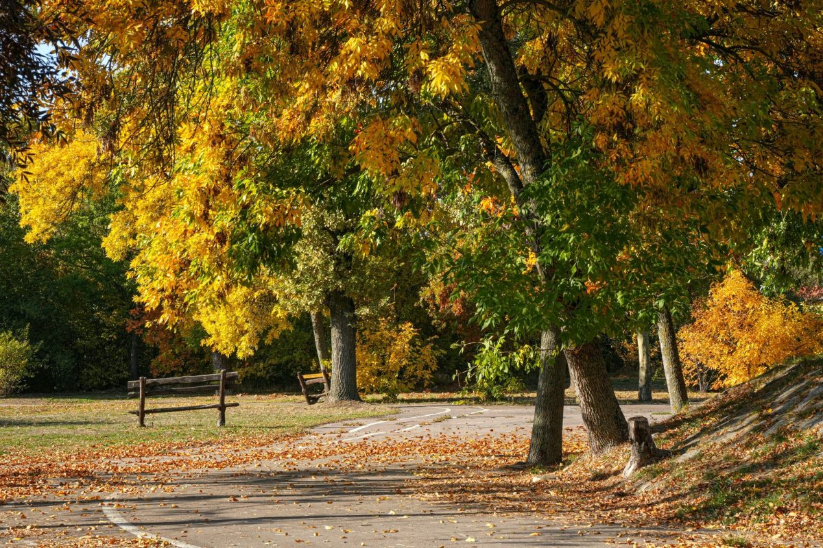 Híres B Ede: Élet dobbanások (2) című novella illusztrációja a Múzsák Könyvtárában.