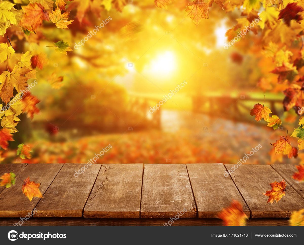 Vizkeleti Erzsébet: Októberi levél című novella illusztrációja a Múzsák Könyvtárában.