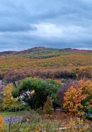 Fekete Ida Virág: Különös kirándulás című vers illusztrációja a Múzsák Könyvtárában