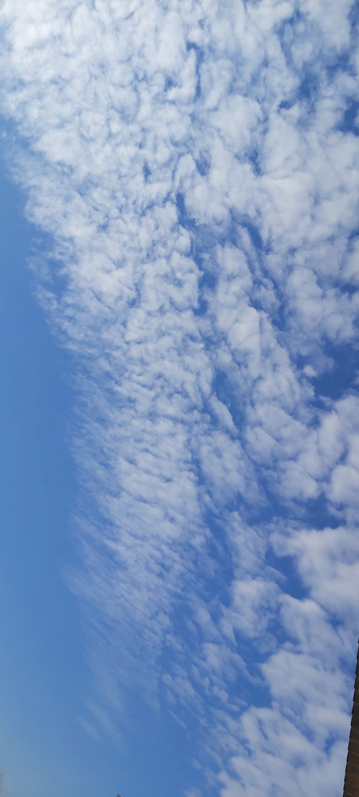 Brettnerné Ónadi Krisztina: Decemberi felhőjáték című vers illusztrációja a Múzsák Könyvtárában