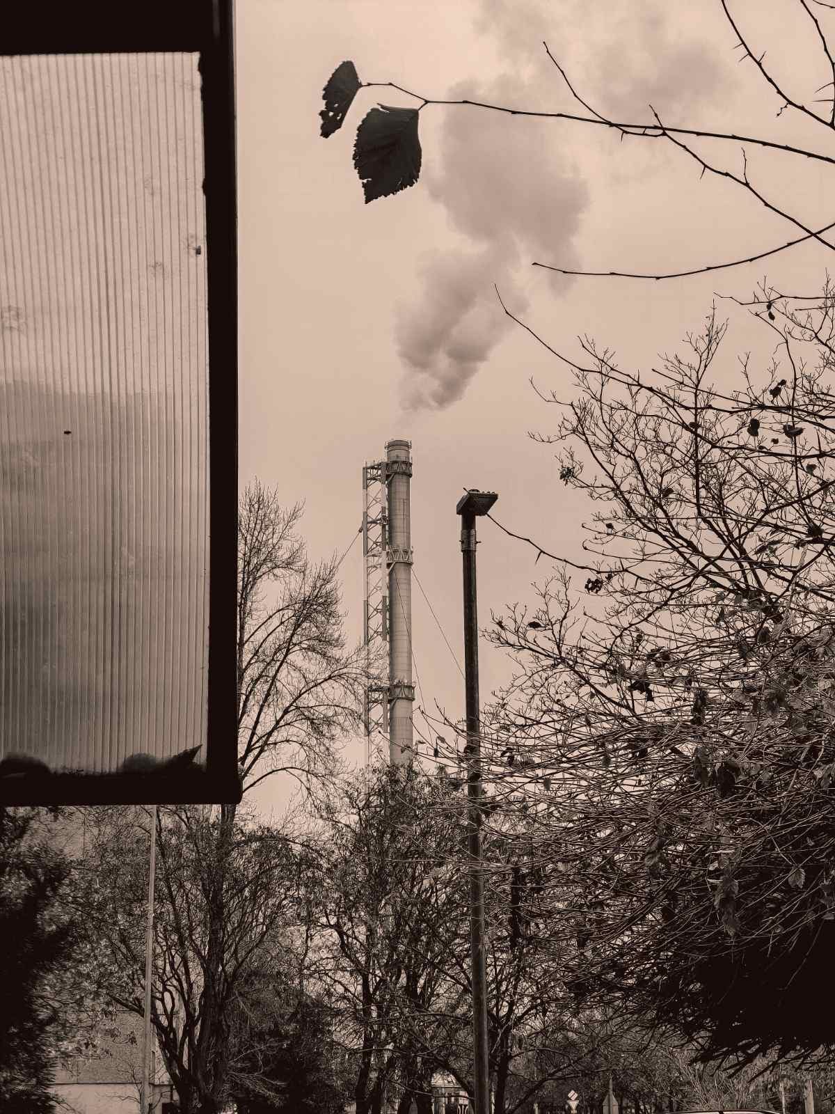 Ynela Zíléna: Szokás című vers illusztrációja a Múzsák Könyvtárában