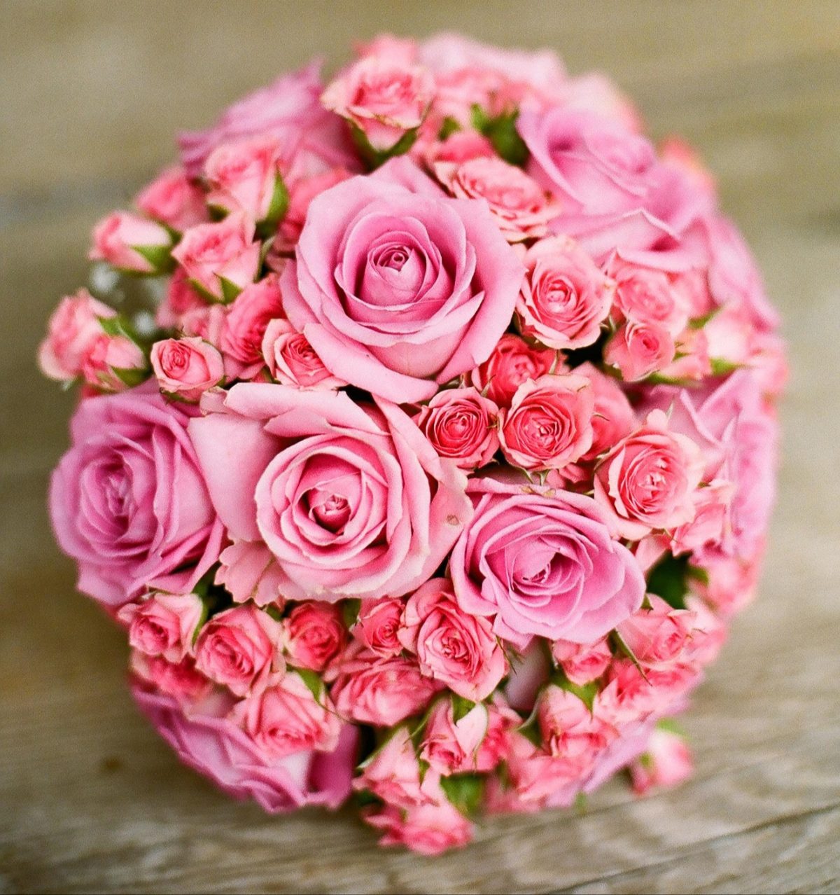 Halászné Magyar Márta: Nőnap előtti gondolataim (2025) című vers illusztrációja a Múzsák Könyvtárában