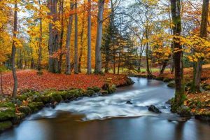 Krivák-Móricz Ilona: Aludni megy a természet című vers illusztrációja a Múzsák Könyvtárában