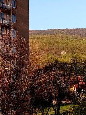 Fekete Ida Virág: Virágzik a fám a hegyen című vers illusztrációja a Múzsák Könyvtárában