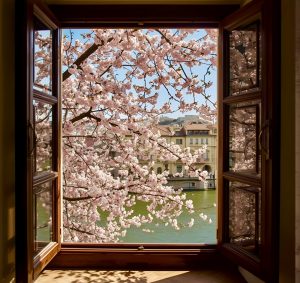 Gyurkó Mónika: "Tavaszi menyasszony" című vers illusztrációja a Múzsák Könyvtárában