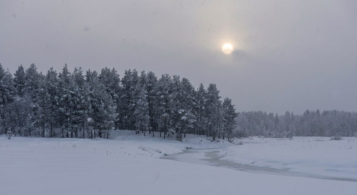 Antal Izsó: Tél című vers illusztrációja a Múzsák Könyvtárában