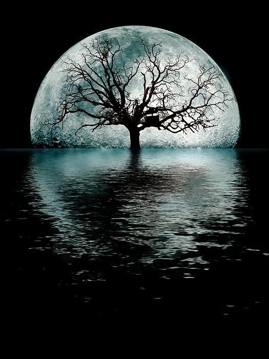 sadlih: Csönded vagyok című vers illusztrációja a Múzsák Könyvtárában