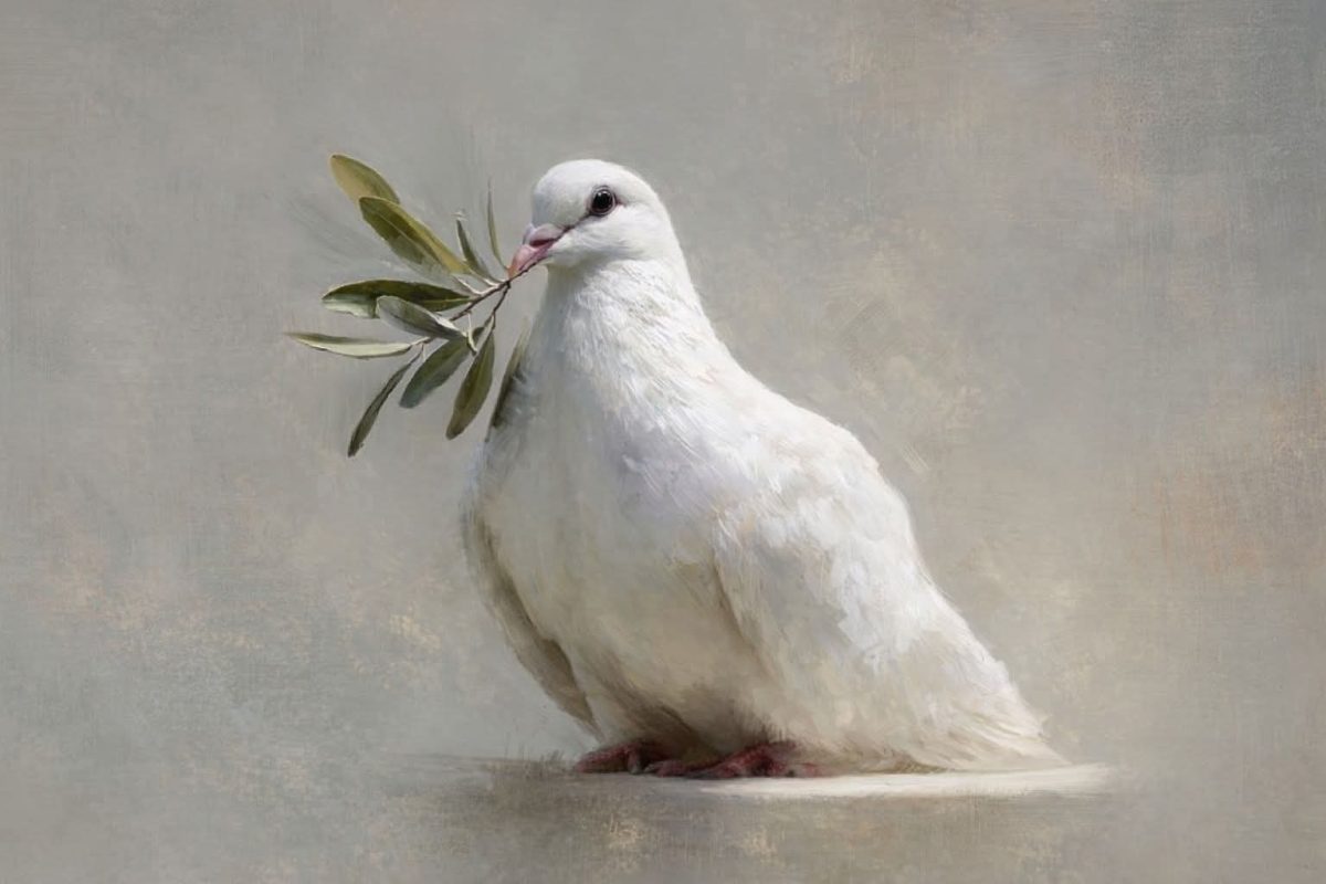 Vasasné Koszla Beáta: Hófehér galamb című vers illusztrációja a Múzsák Könyvtárában