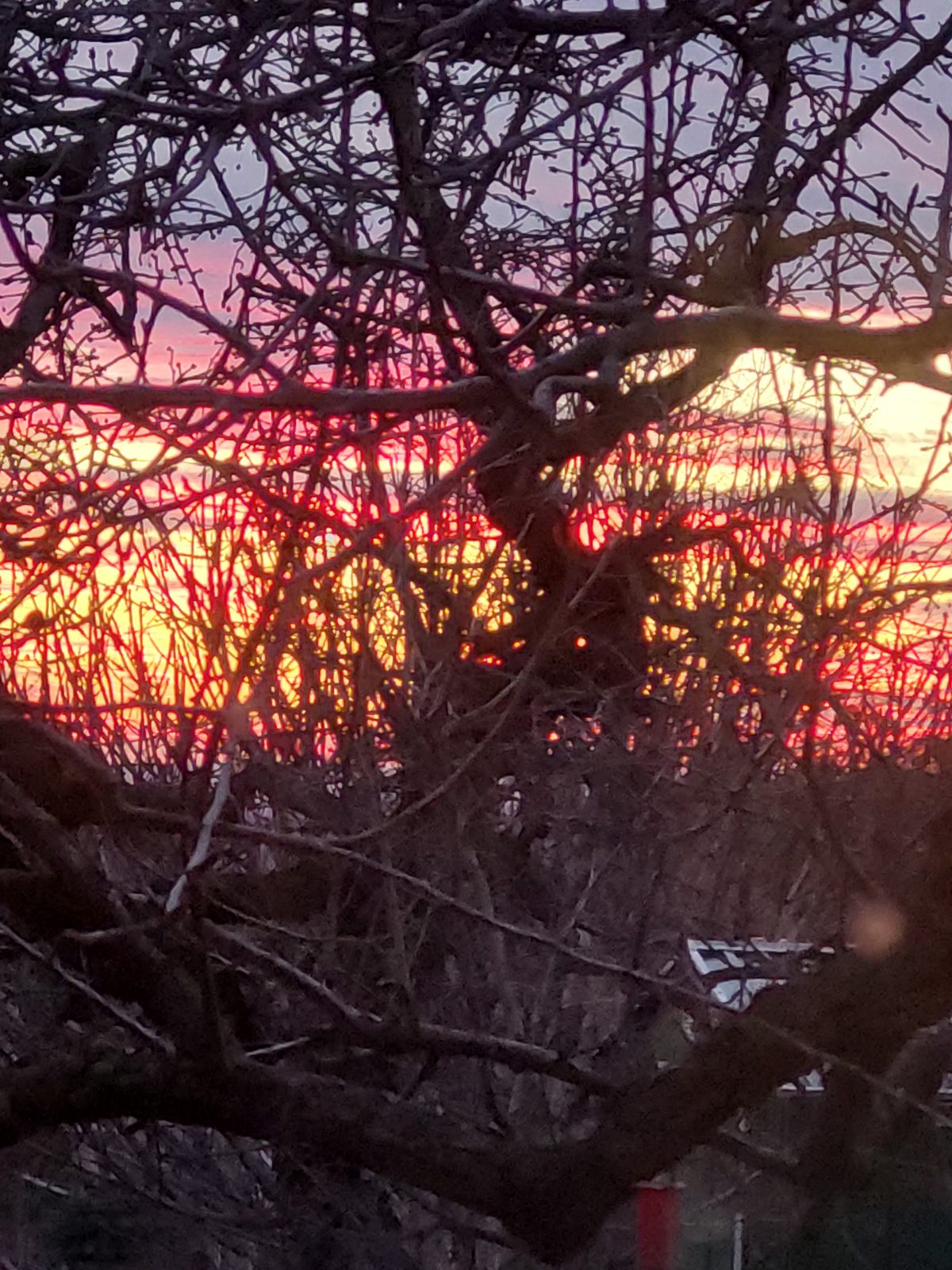 Petres Katalin: Istenhez közel című vers illusztrációja a Múzsák Könyvtárában