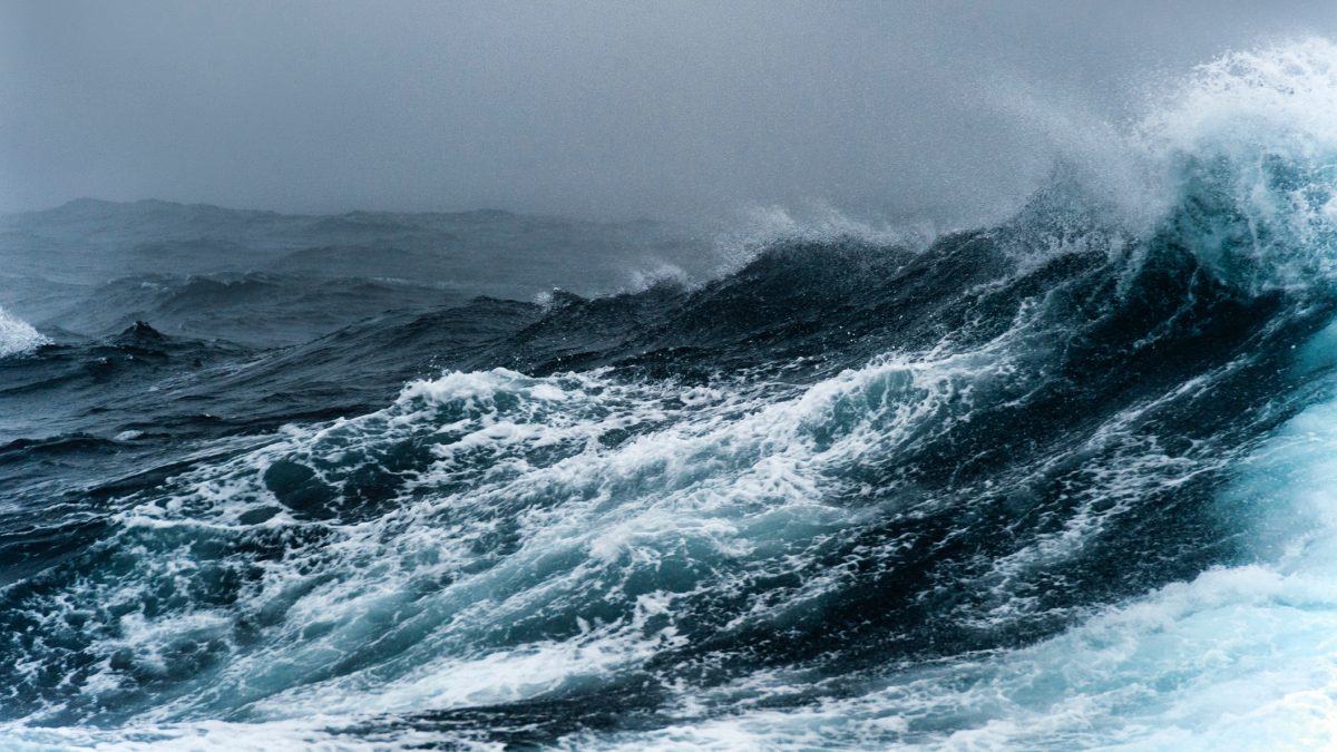 Balogh Erika: Az óceán mélysége és kéksége – A szív vízrajza című novella illusztrációja a Múzsák Könyvtárában.