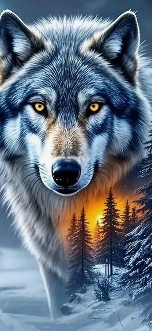 Szegedi Antal: Farkas törvény című vers illusztrációja a Múzsák Könyvtárában