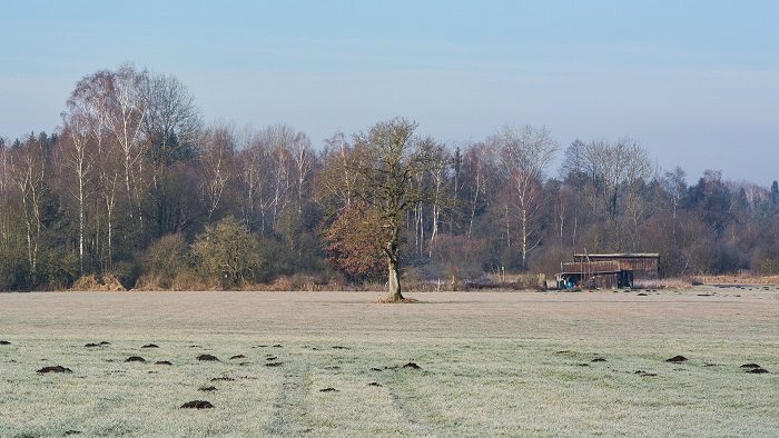 Gani Zsuzsa: Várakozás című vers illusztrációja a Múzsák Könyvtárában