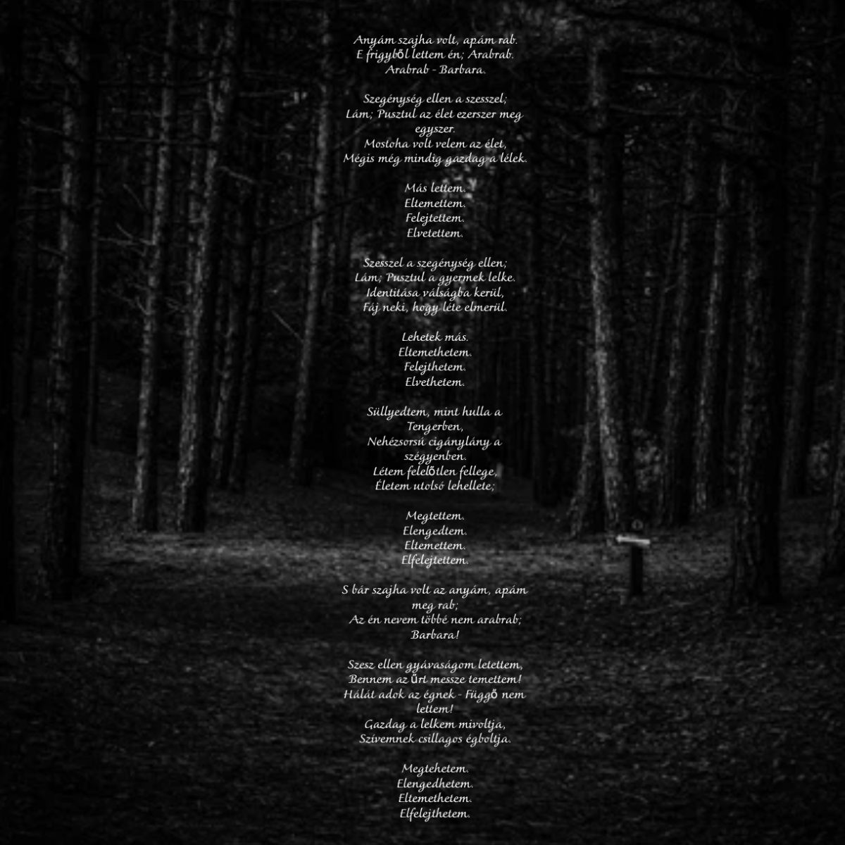 Papp Barbara: Arabrab című vers illusztrációja a Múzsák Könyvtárában