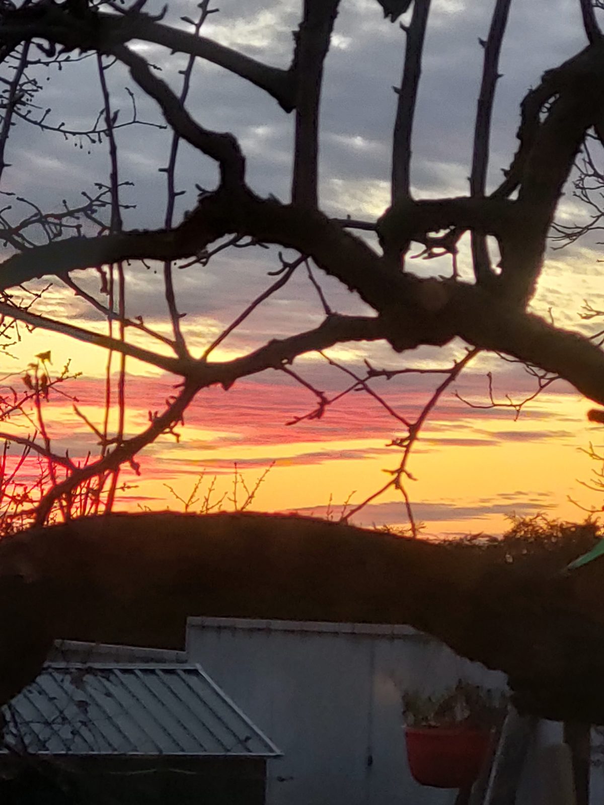 Petres Katalin: Szédült alkony című vers illusztrációja a Múzsák Könyvtárában