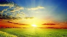 Magdus Melinda: Napsütötte világ című vers illusztrációja a Múzsák Könyvtárában