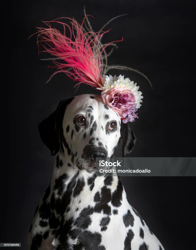 Norbert Farkas: Dionüszosz farkaslánya című vers illusztrációja a Múzsák Könyvtárában