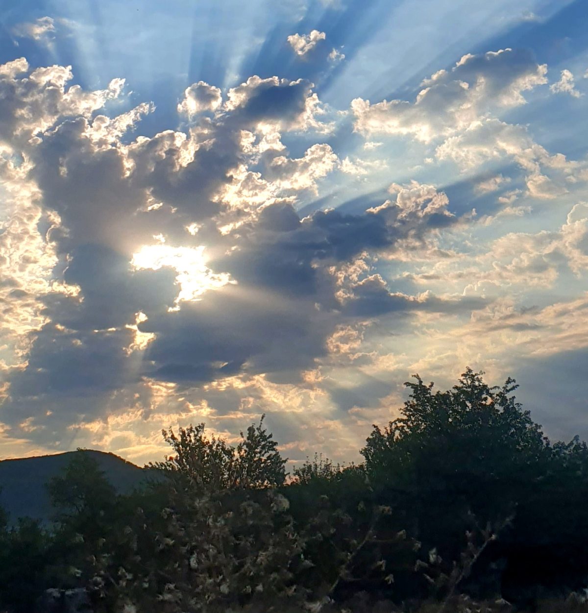 Szőcs Éva: Lélekfények című vers illusztrációja a Múzsák Könyvtárában