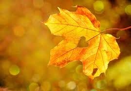 Vizkeleti Erzsébet: Végső sóhaj című vers illusztrációja a Múzsák Könyvtárában