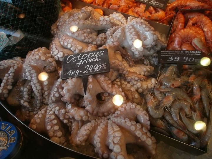 Garami Nelli: FRAU THEA ÉS A POLIP című novella illusztrációja a Múzsák Könyvtárában.