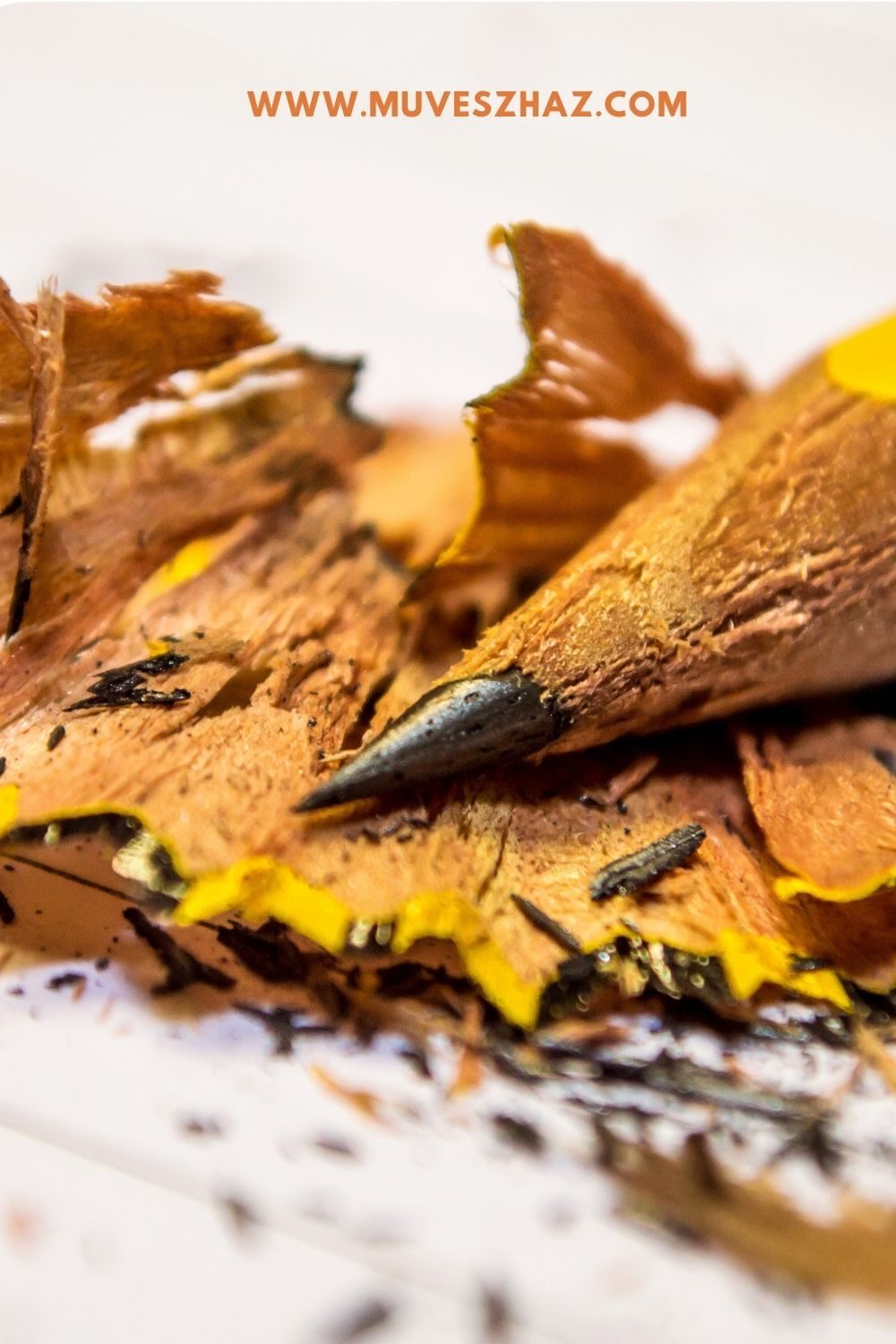 Rose Logan: Múzsa csókja című vers illusztrációja a Múzsák Könyvtárában