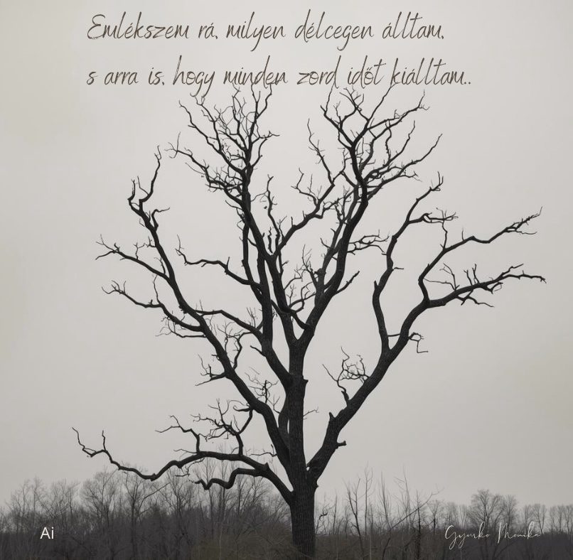 Gyurkó Mónika: Körtefa című vers illusztrációja a Múzsák Könyvtárában