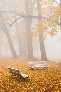 Aurora Amelia Joplin: Fehér köd című vers illusztrációja a Múzsák Könyvtárában