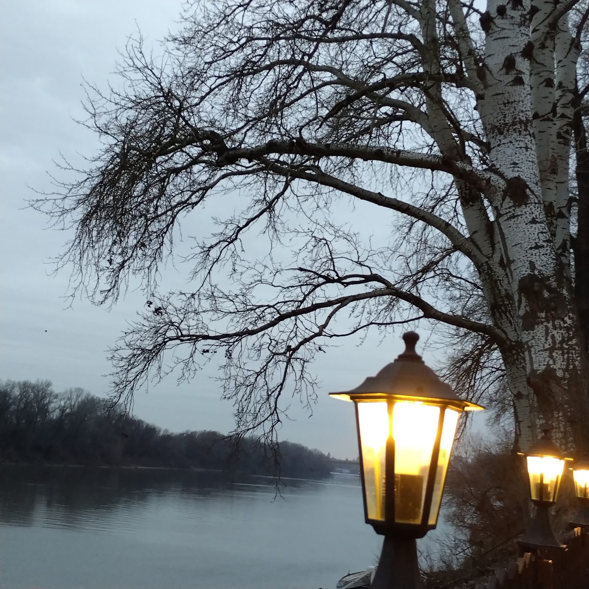 Gábor Edit: Este a Tiszán című vers illusztrációja a Múzsák Könyvtárában