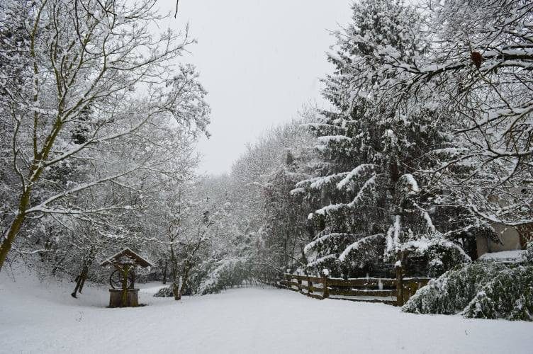 Márkus Katalin/Kata/: Téli csoda című vers illusztrációja a Múzsák Könyvtárában
