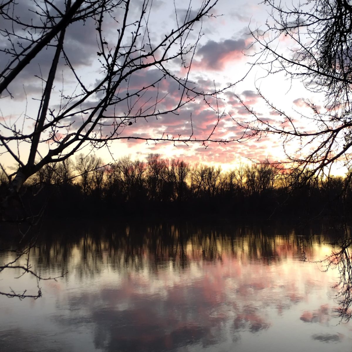 Gábor Edit: Naplemente a Tiszán című vers illusztrációja a Múzsák Könyvtárában