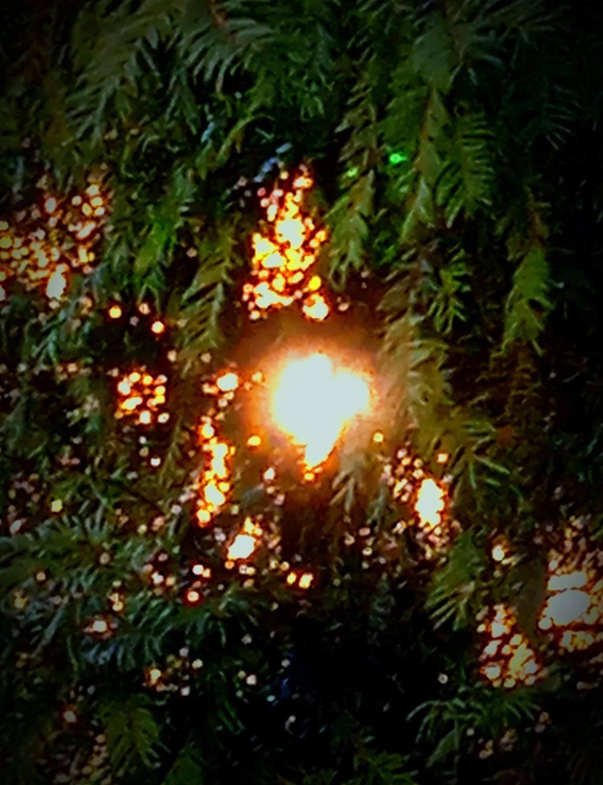 Gábor Edit: Égi fények című vers illusztrációja a Múzsák Könyvtárában