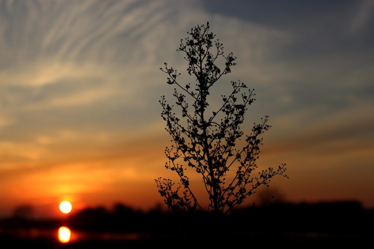 Gani Zsuzsa: Amikor a nap lecsukja szemét című vers illusztrációja a Múzsák Könyvtárában